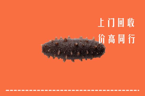 高价求购：霍尔果斯市回收海参
