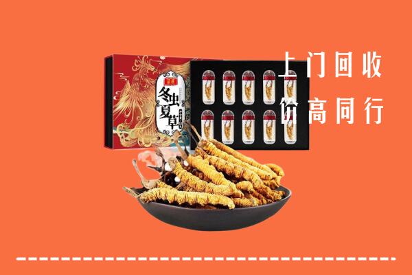 霍尔果斯市回收虫草